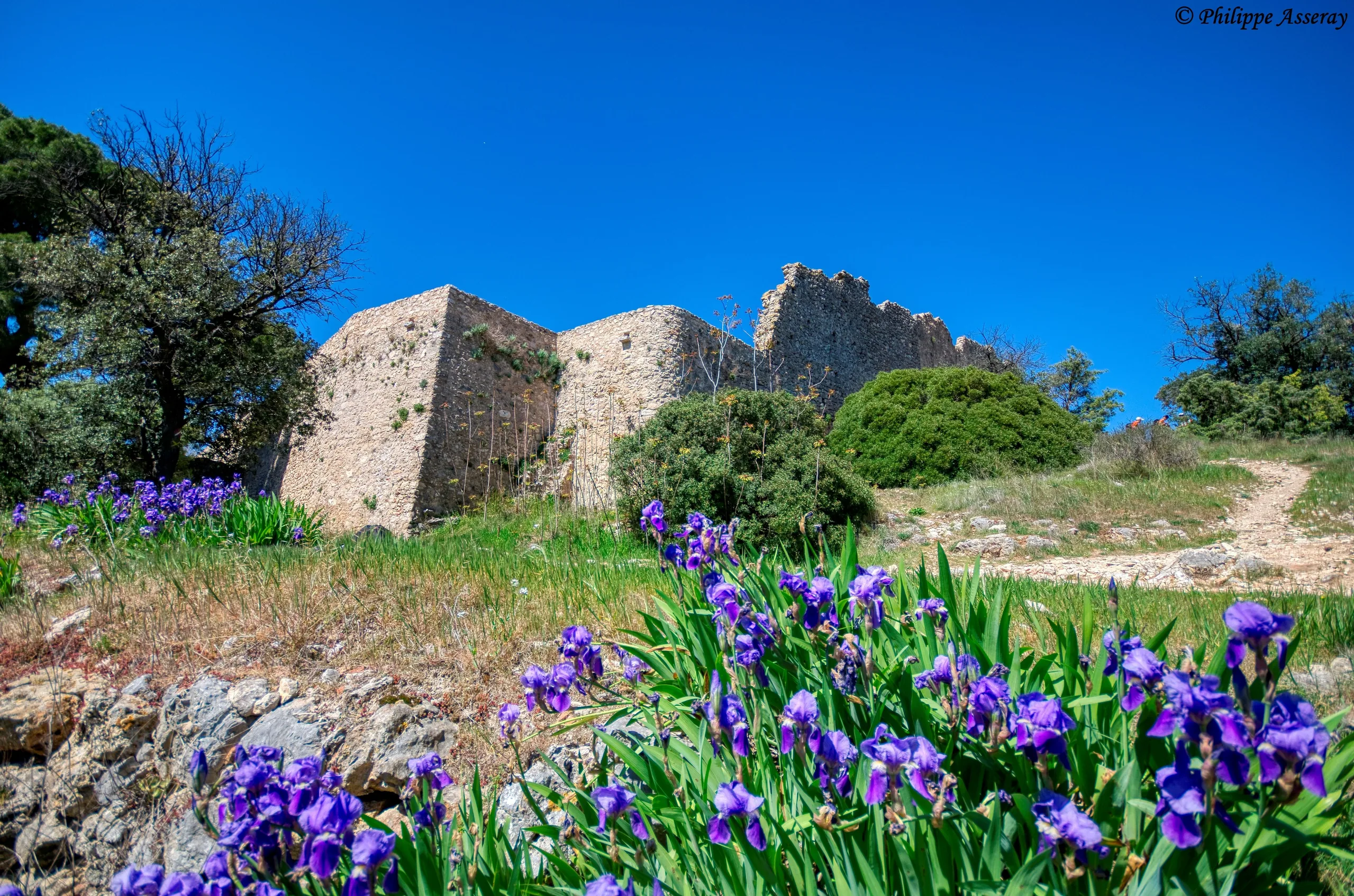 Tour du Castellas au Barry