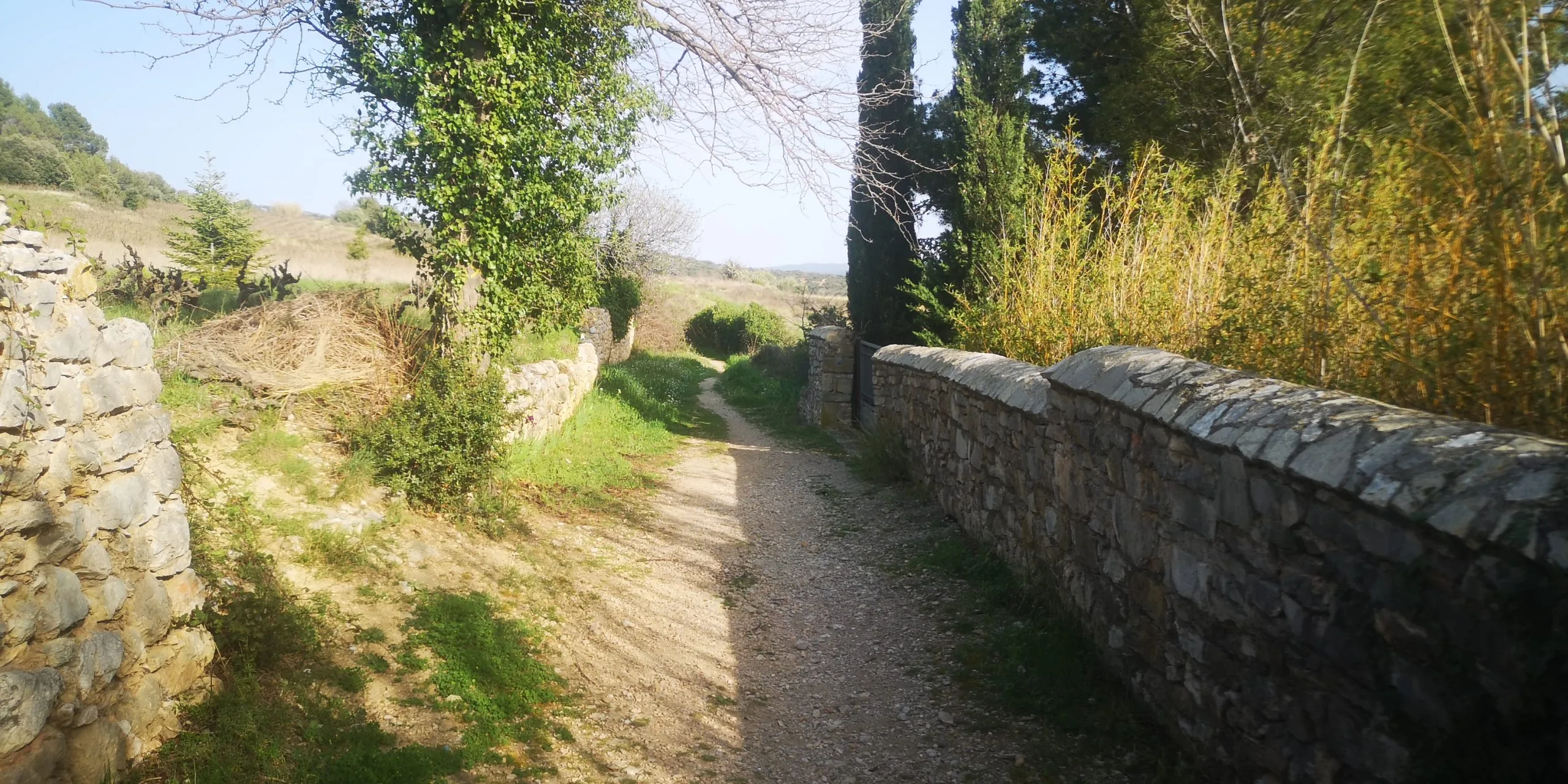 Montpeyroux, Le Barry